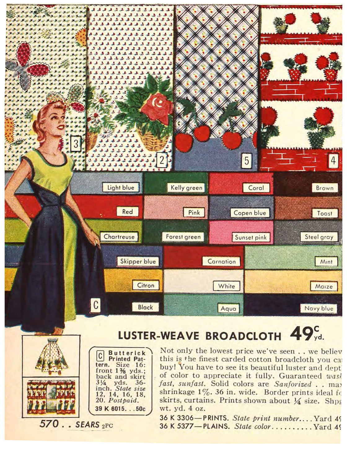 Daisy Basket Border Print