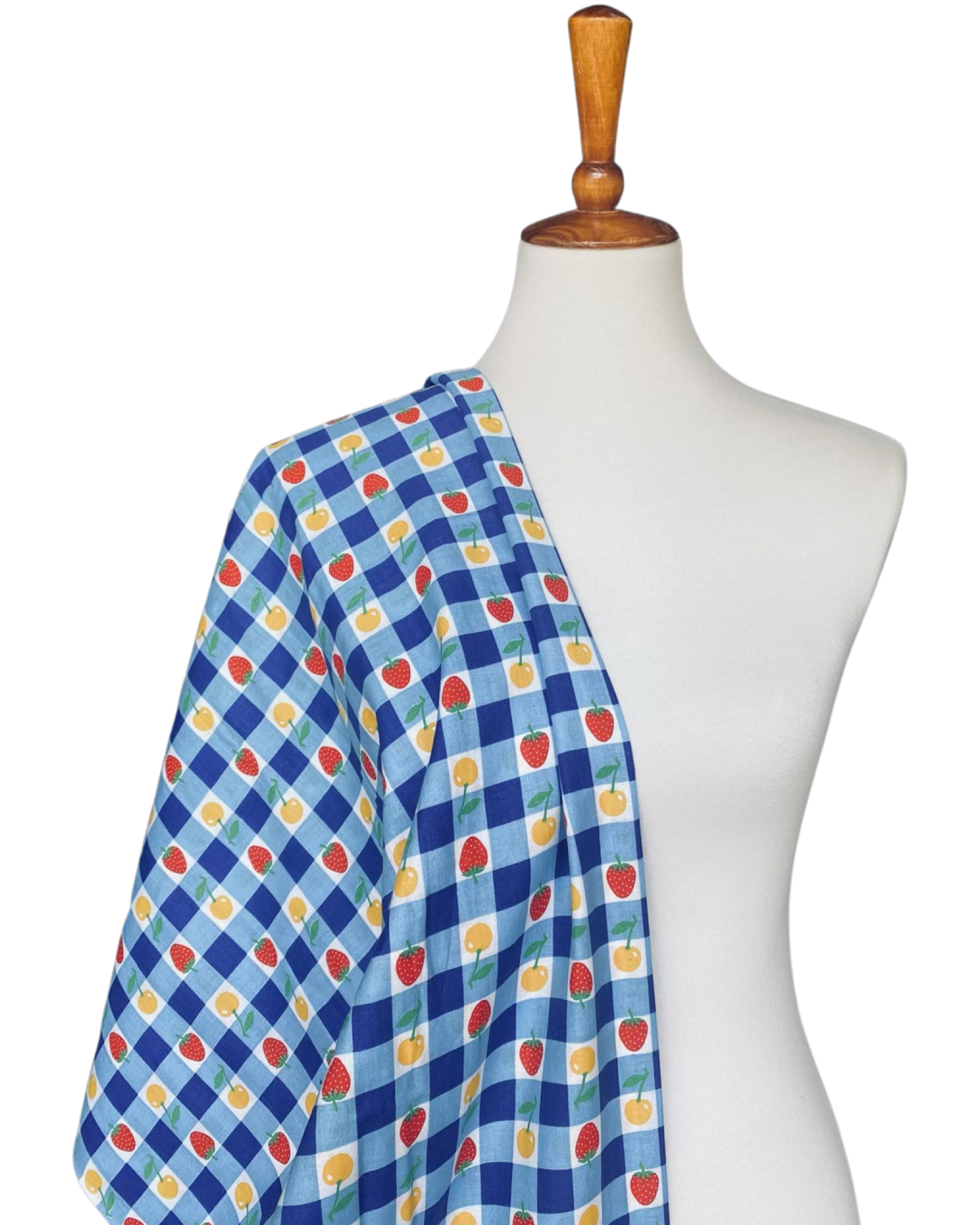 1970s Blue Gingham Fruit print