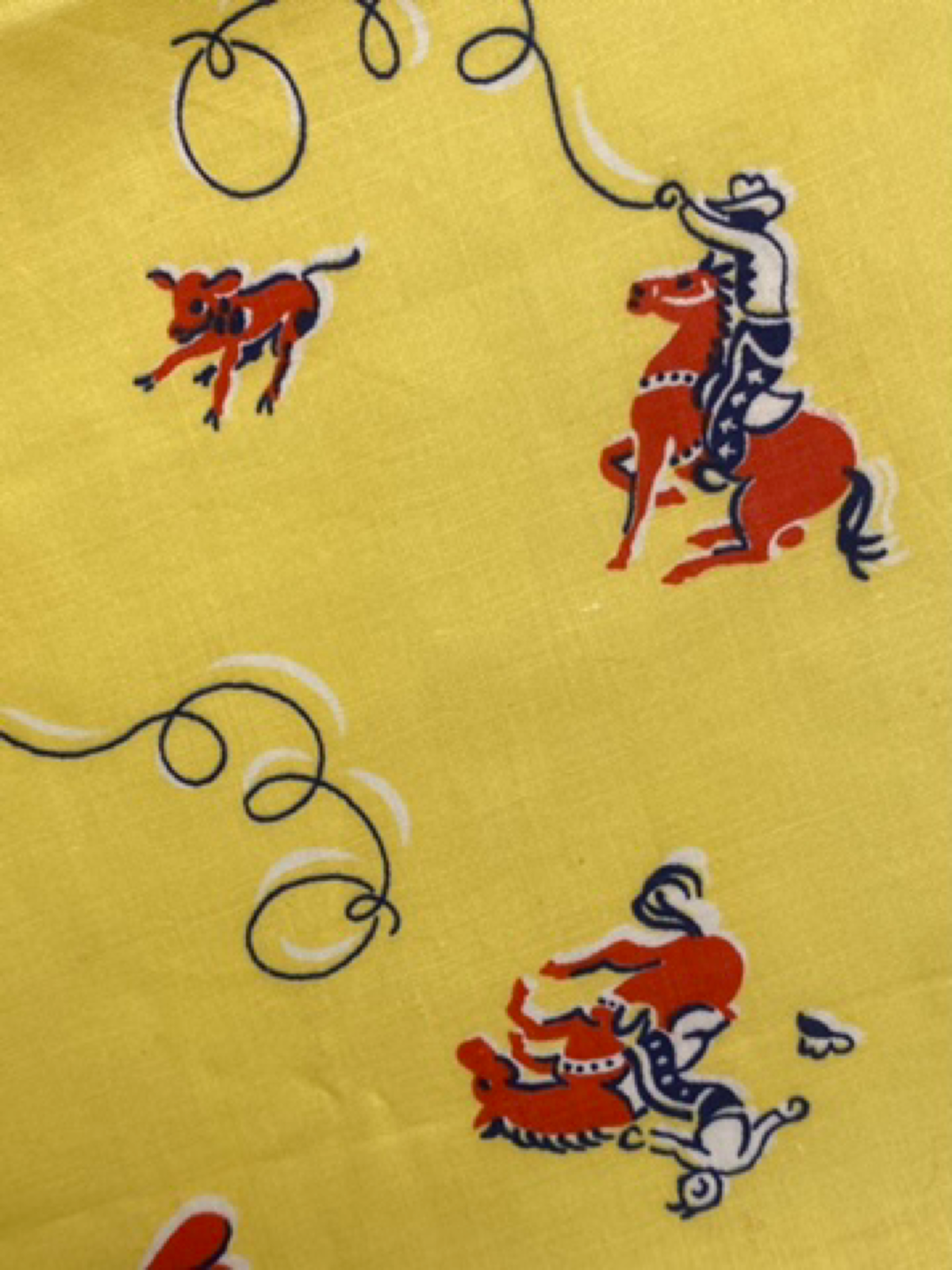 1940s-1960s Western  Novelty Remnant Lot