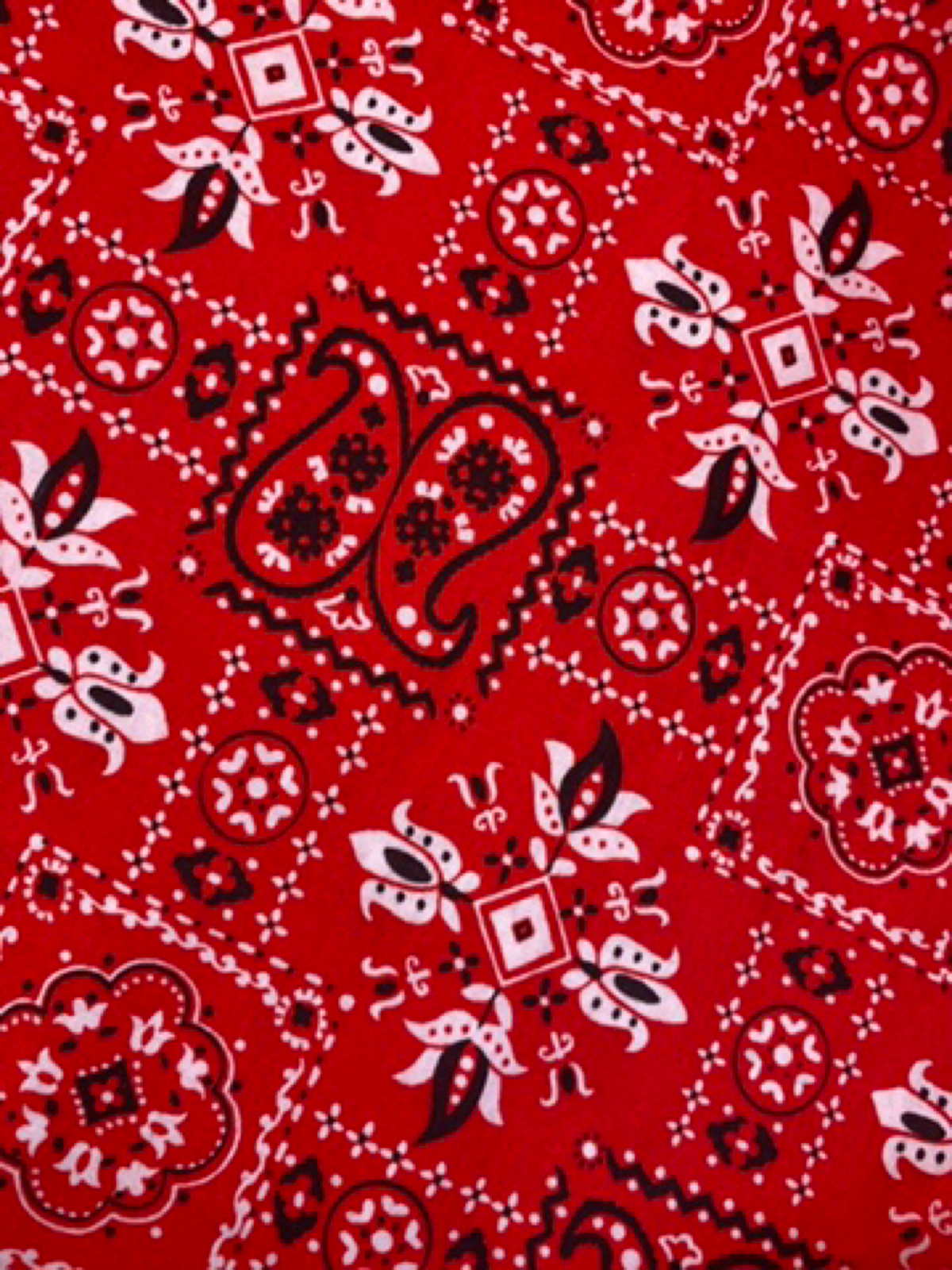 1950s Red Bandana Print Cotton
